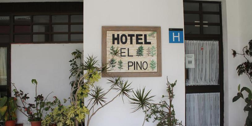 Hotel Hotel el Pino