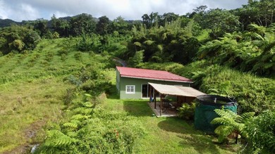 Гостевой дом Chambre Ylang Ylang vue Mont Pelée