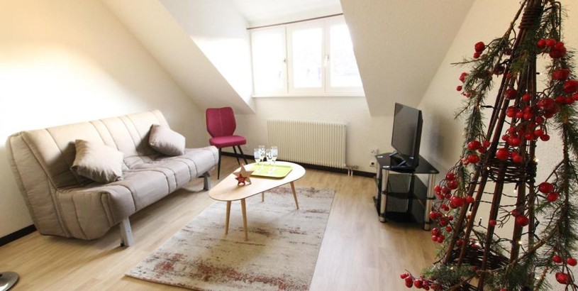 Apartments Colmar Historic Center - Cosy Appartement TURENNE 2 - BookingAlsace