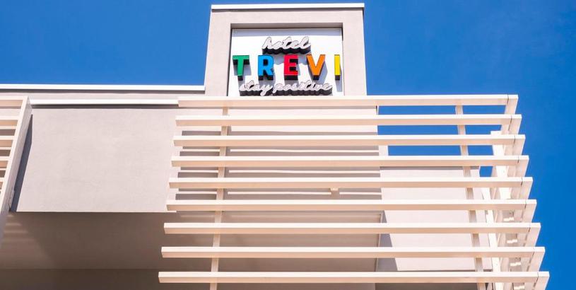 Отель Hotel Trevi