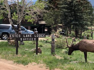 Hotel Estes Lake Lodge