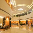 Отель Radisson Blu Plaza Delhi Airport
