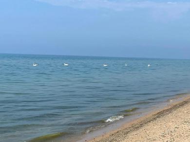 Дом отдыха All the Waters Retro Home on Lake Michigan- Your Own PRIVATE BEACH