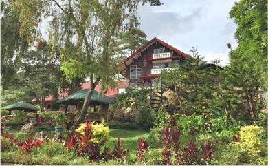 Отель Log Cabin Hotel - Safari Lodge Baguio