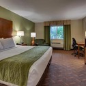 Hotel Wingfield Inn & Suites