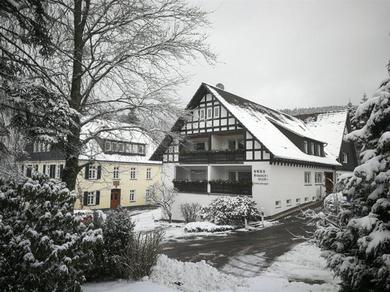 Апартаменты Ferienwohnungen Haus Sonnenblick