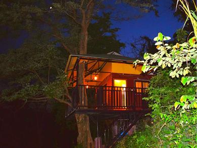 Курорт Brahmaputra Jungle Resort