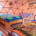 Luxury tent Nativa Whale Domes