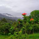 Campsite Ecocabaña Con Hermosa Vista En Pijao Quindio