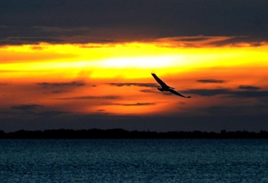 Отель Sunset -Escapes waterfront Home where Eagles Soar