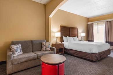 Отель Comfort Inn & Suites at Stone Mountain