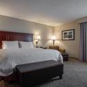 Hotel Hampton Inn & Suites Williamsburg-Richmond Road