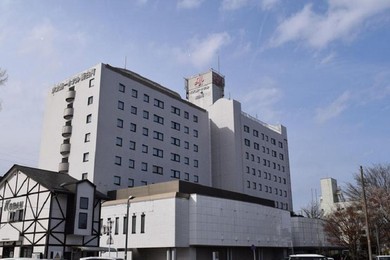 Hotel Tokyo Daiichi Hotel Shinshirakawa