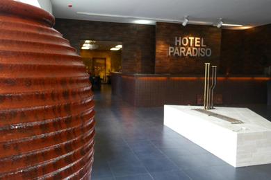 Отель Hotel Paradiso