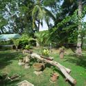 Lodge Coconut Island