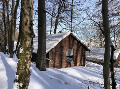 Кемпинг Schwedische Winter Hütte unter Buchen