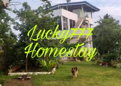 Guest house Lucky777 Homestay