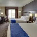 Hotel Holiday Inn Express Hotel & Suites Meadowlands Area, an IHG Hotel