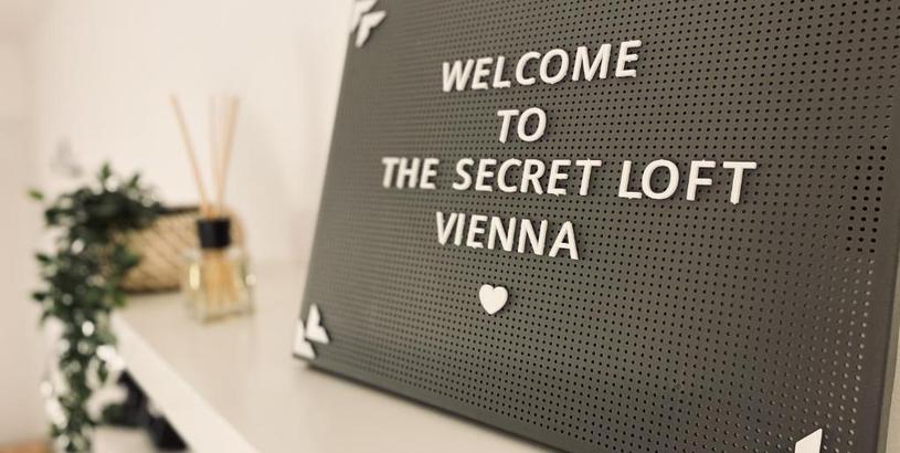 Апартаменты The Luxury Loft Vienna