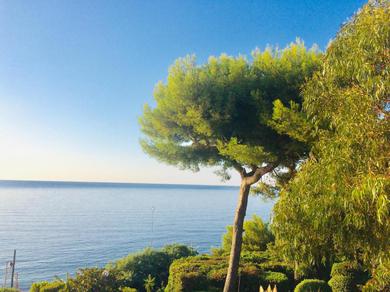 Villa Villa Cannes directly on the sea