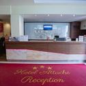 Отель Hotel Attaché