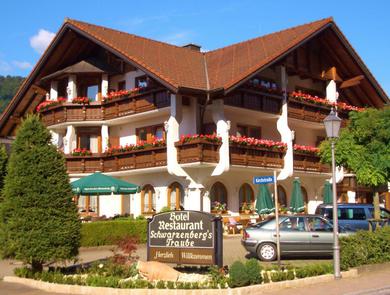 Отель Hotel Schwarzenbergs Traube