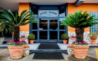 Отель Hotel Venere