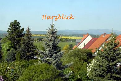 Дом отдыха Ferienhaus "Harzblick"
