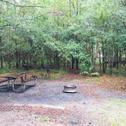 Luxury tent Tentrr State Park Site - Louisiana Fontainebleau State Park - Pond View G - Single Camp