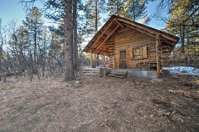 Holiday home Secluded Cabin with Fire Pit By San Juan Forest!
