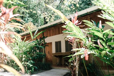 Гостевой дом Star Mountain Jungle Lodge