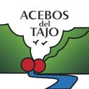 Apartments Acebos del Tajo