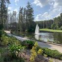 Апартаменты Saddlebrook Resort GolfView Condo Near Tampa