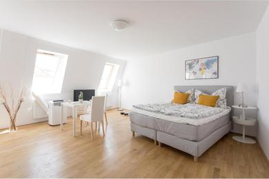 Apartments Between Schoenbrunn and the City Center. Apt. 40