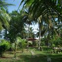 Lodge Coconut Island
