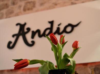 Guest house Bed&Breakfast Andio