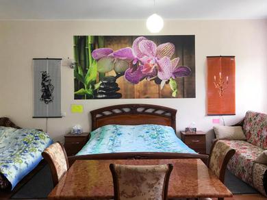 Апартаменты Квартира-студия "Орхидея"