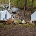 Luxury tent Tentrr State Park Site - Lake DArbonne State Park Site G Double Tent Site