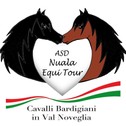 Hotel B&B Nuala Horse And Bike di Giuseppe Pighi