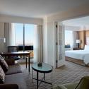 Отель Washington Dulles Marriott Suites