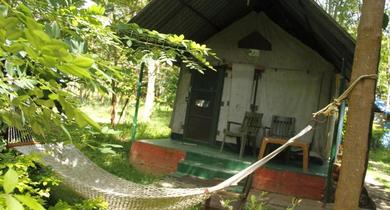 Lodge Deep Jungle Home Bandipur Mudumalai