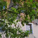 Holiday home Valle D'Aosta a 360° - Ideal for smart working