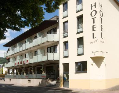 Отель Hotel Hauer