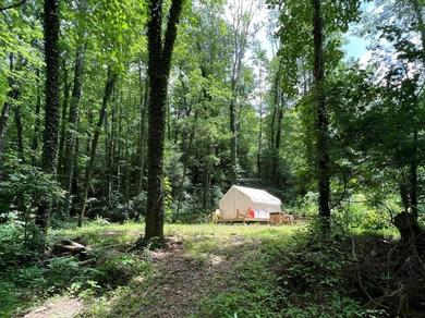 Люкс-шатер Tentrr Signature Site - Summer Haven Campsite #2