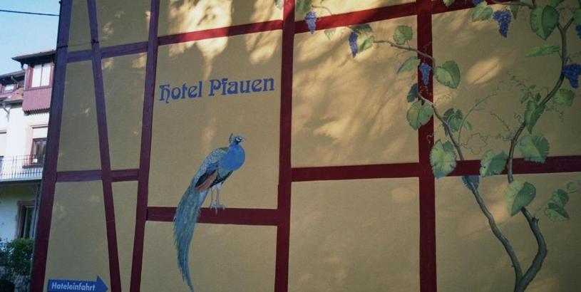Отель TIPTOP Hotel Garni Pfauen