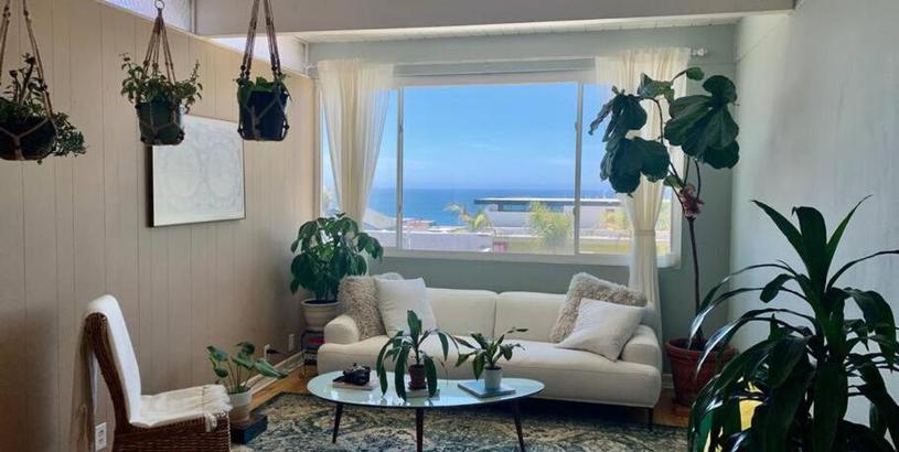 Apartments Botanical Retreat with a Gorgeous Ocean View