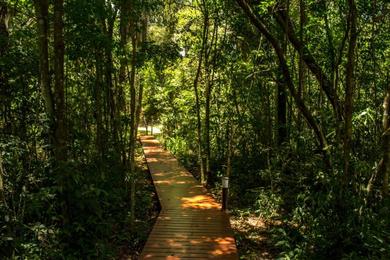 Resort Momora distrito selva