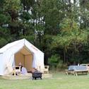 Luxury tent Tentrr State Park Site - Fontainebleau State Park Site A