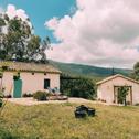 Holiday home Complejo Rural del Molino Dorado