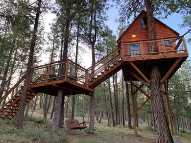 Campsite Treehouse Ranch